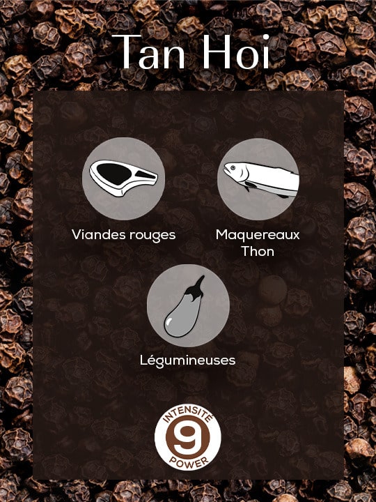 Poivre noir Tan Hoi 140g PEUGEOT – Image 3